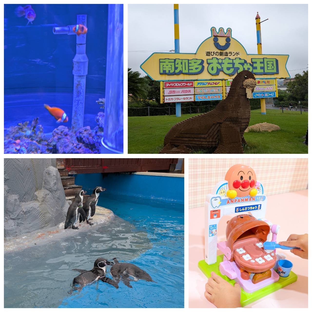 南知多おもちゃ王国/クリスタル矯正歯科クリニック