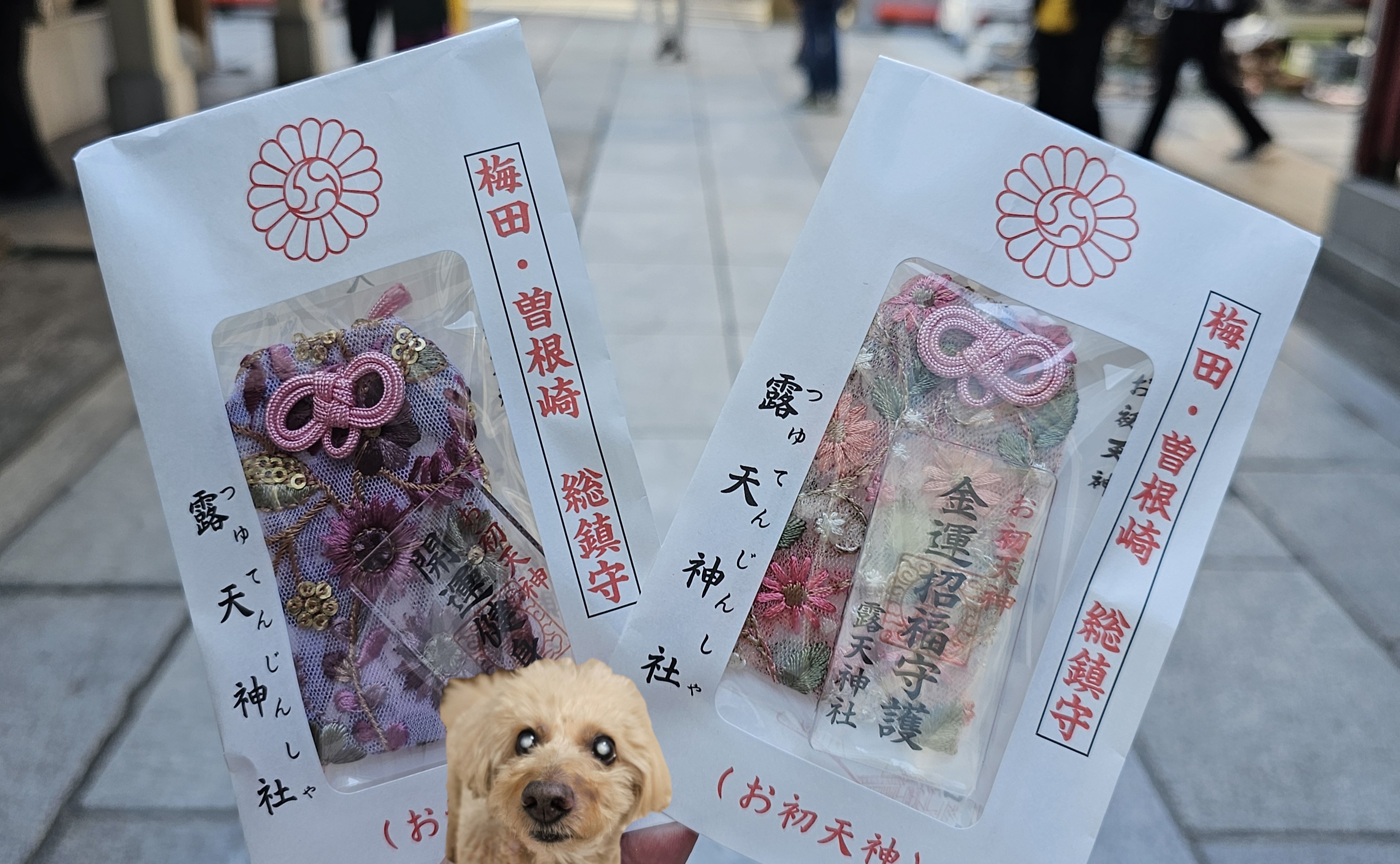 露天神社/クリスタル矯正歯科クリニック