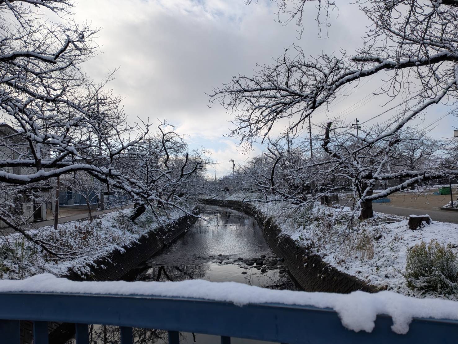 雪/クリスタル矯正歯科クリニック