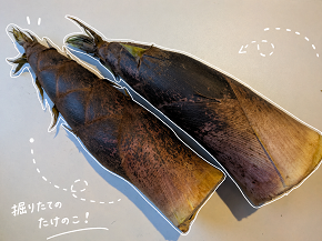 旬 / クリスタル矯正歯科クリニック