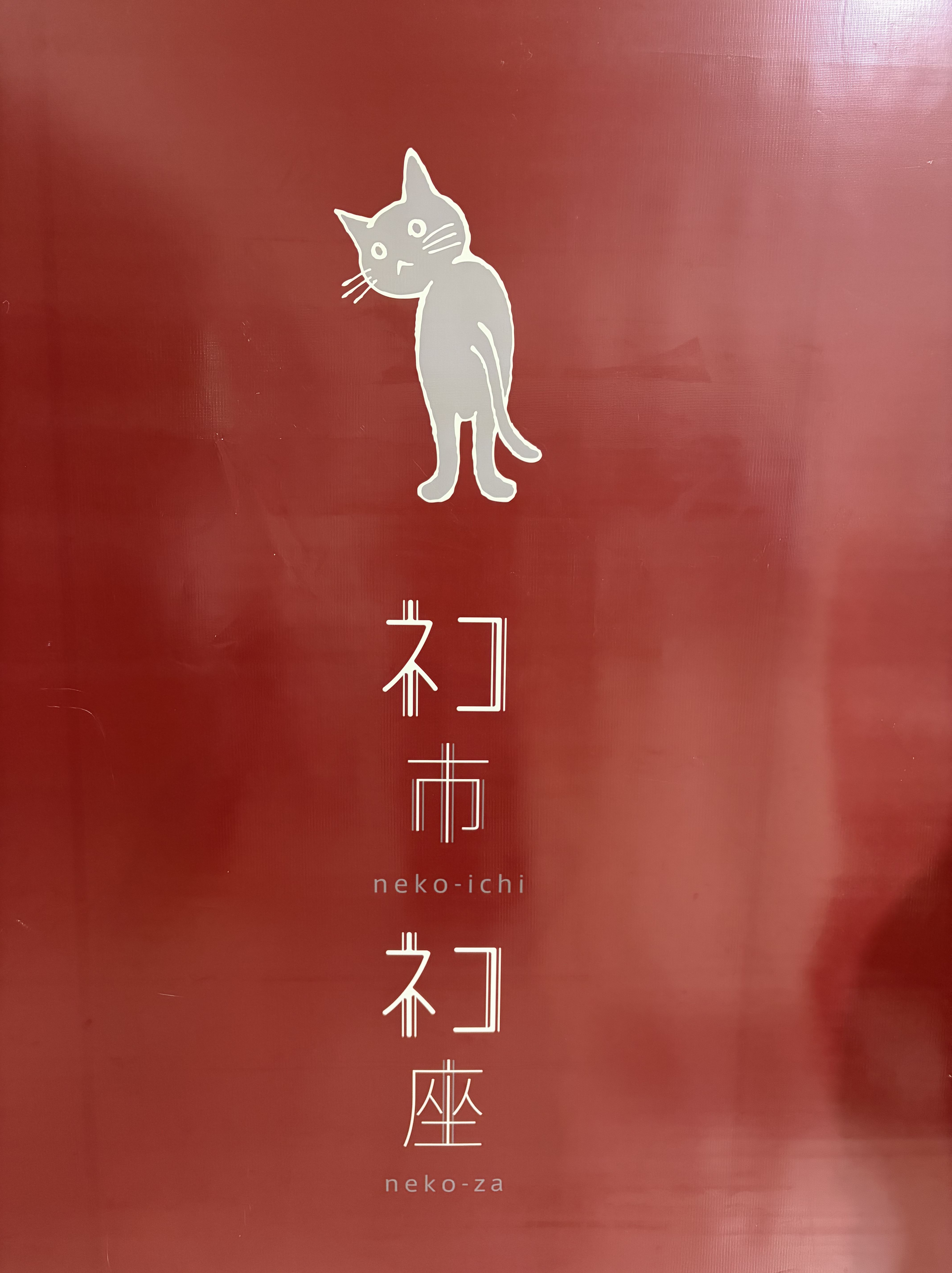 ネコ市ネコ座
